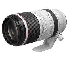 Canon RF 100-500mm F4.5-7.1 L IS USM