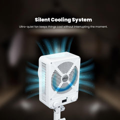 HIFFIN HF-250 LED Video Light