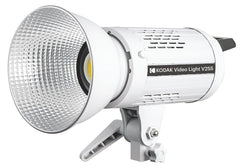 Kodak V255 Video Light