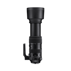 SIGMA AF 60-600mm F4.5-6.3 DG OS HSM | S - CANON
