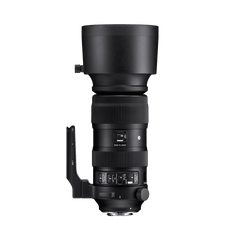 SIGMA AF 60-600mm F4.5-6.3 DG OS HSM | S - CANON