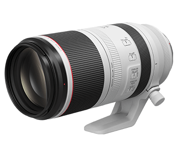 Canon RF 100-500mm F4.5-7.1 L IS USM