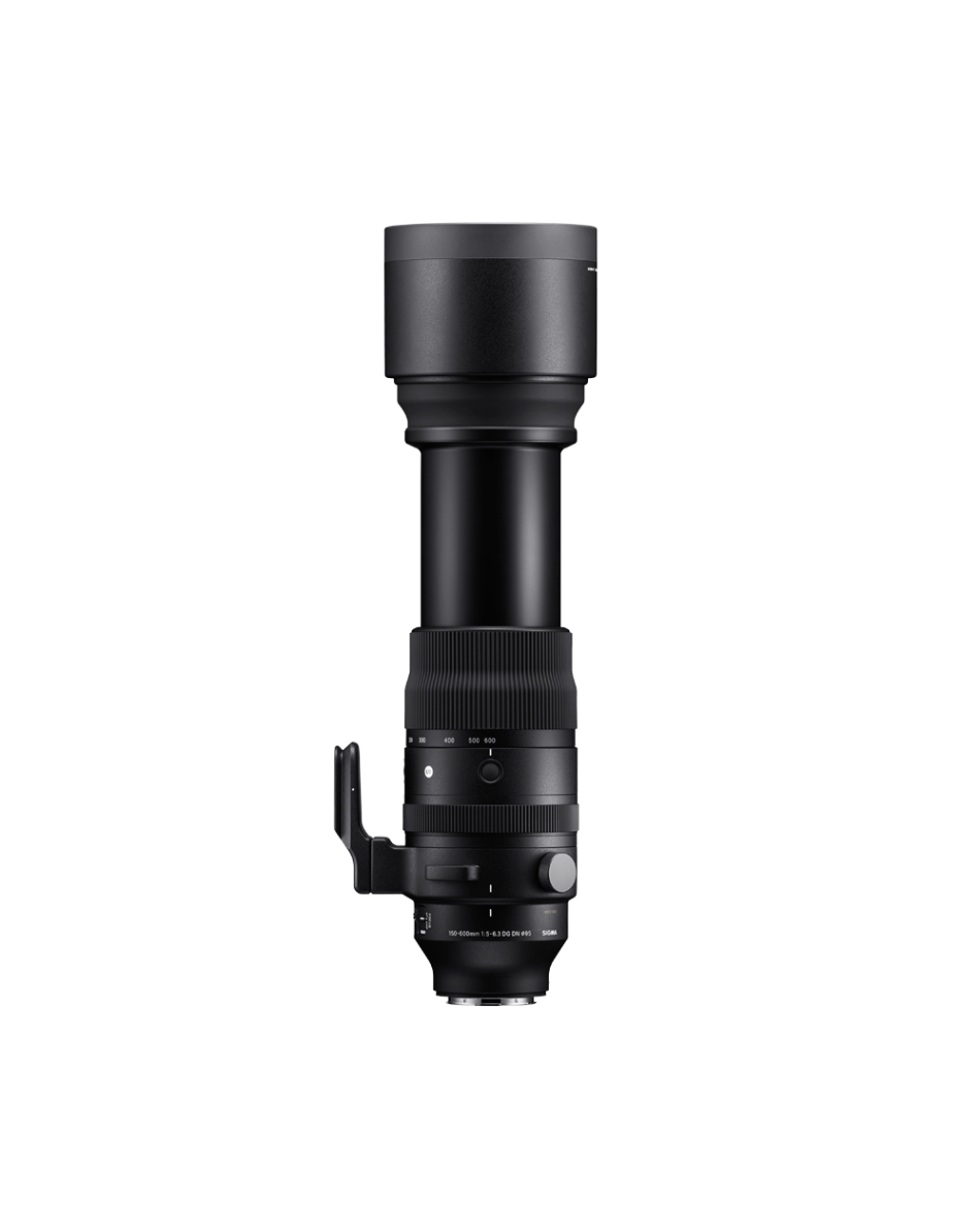 SIGMA AF 150-600mm F5-6.3 DG DN OS | SPORTS - L MOUNT