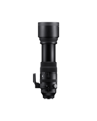SIGMA AF 150-600mm F5-6.3 DG DN OS | SPORTS - L MOUNT