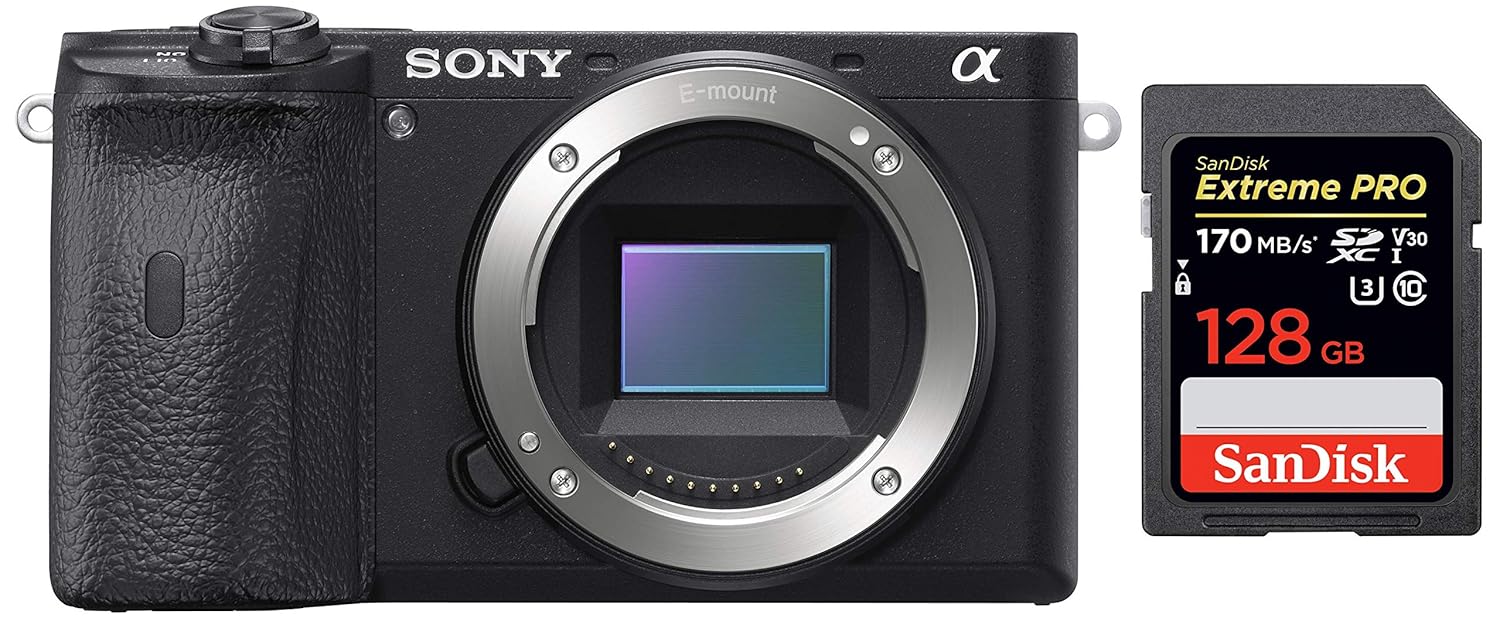 Sony ILCE-6600/BQ IN5
