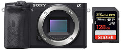 Sony ILCE-6600/BQ IN5