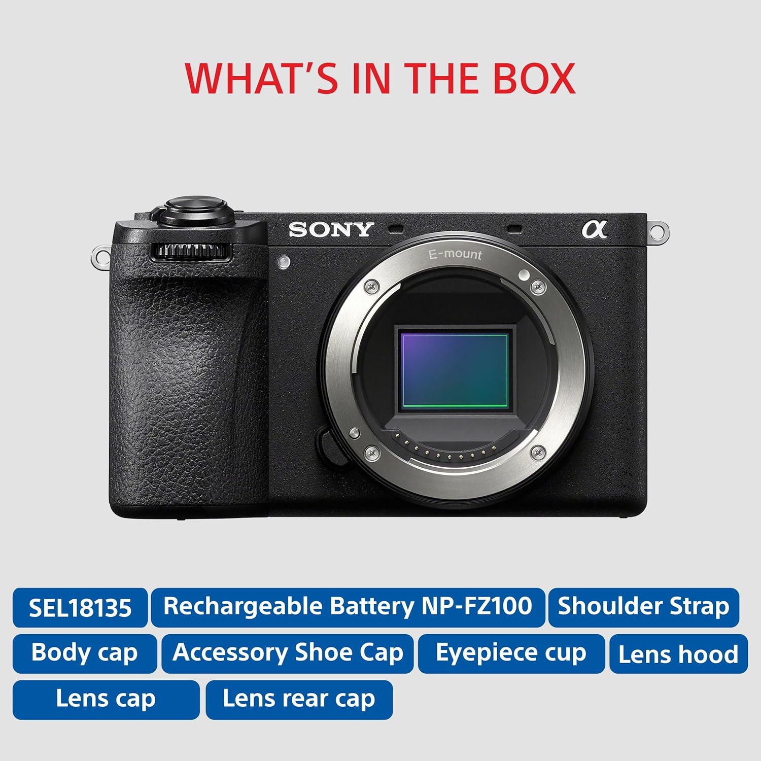 Sony ILCE-6700M/BQ IN5