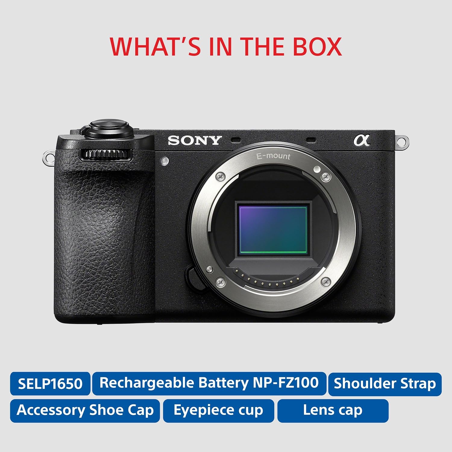Sony ILCE-6700L/BQ IN5